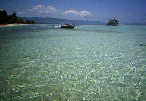 Clear Sea