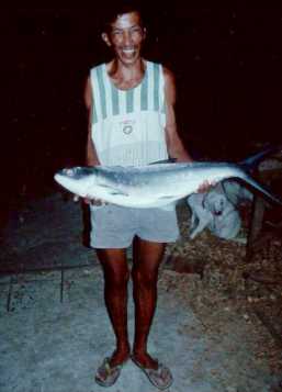 Fresh Fish
