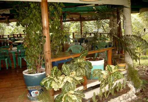 Restaurant Pagoda Verde